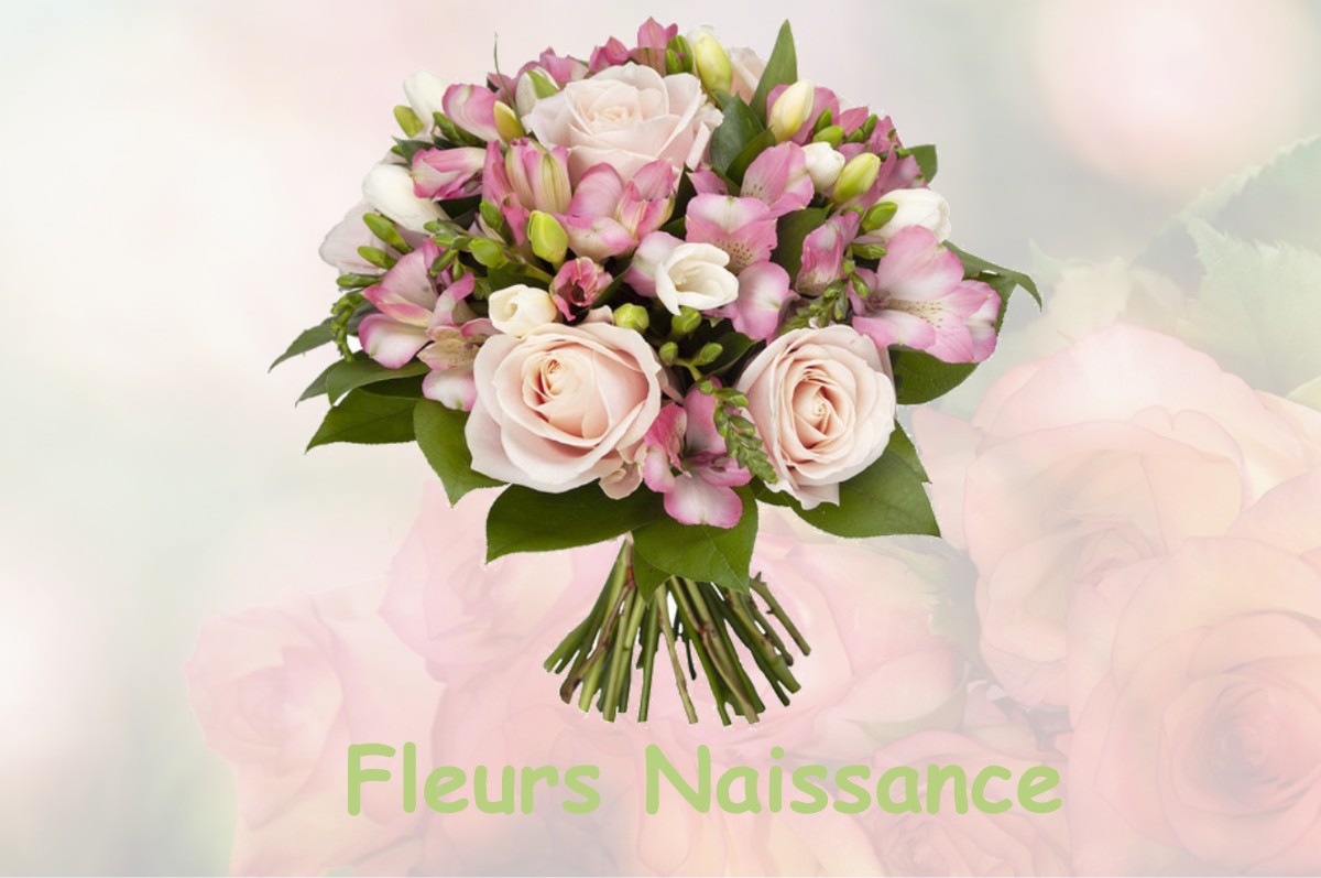 fleurs naissance POUILLEY-FRANCAIS